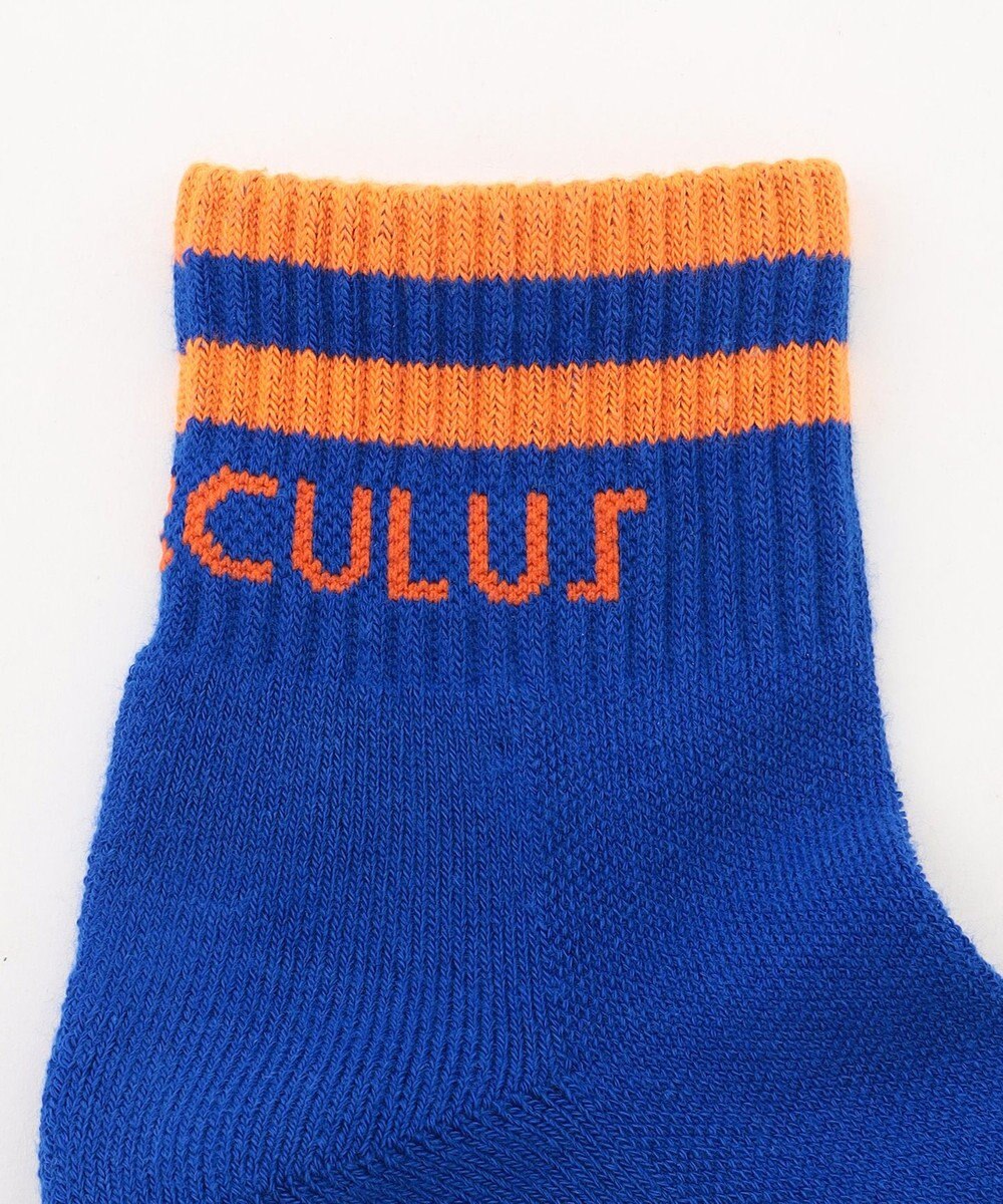 PW CIRCULUS 【虫よけ加工】【MEN】ラインソックス ショート丈  ゴルフ 