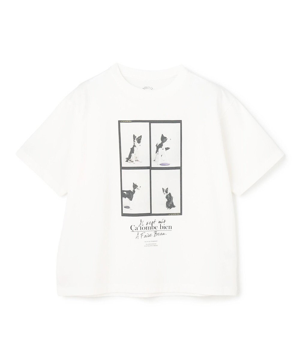 UNFILO CLEAN-Tee 