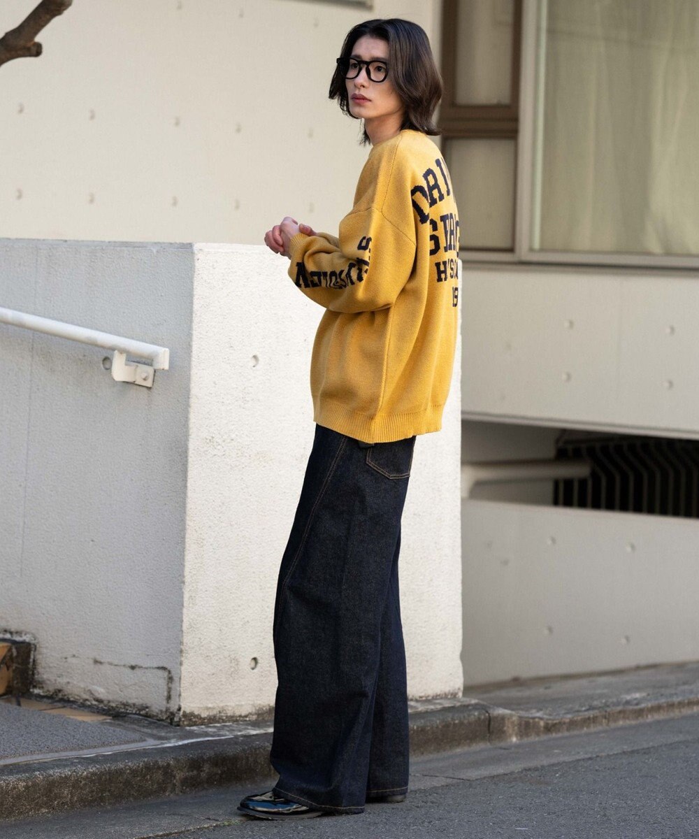 WEGO スリーブロゴニットプルオーバー 