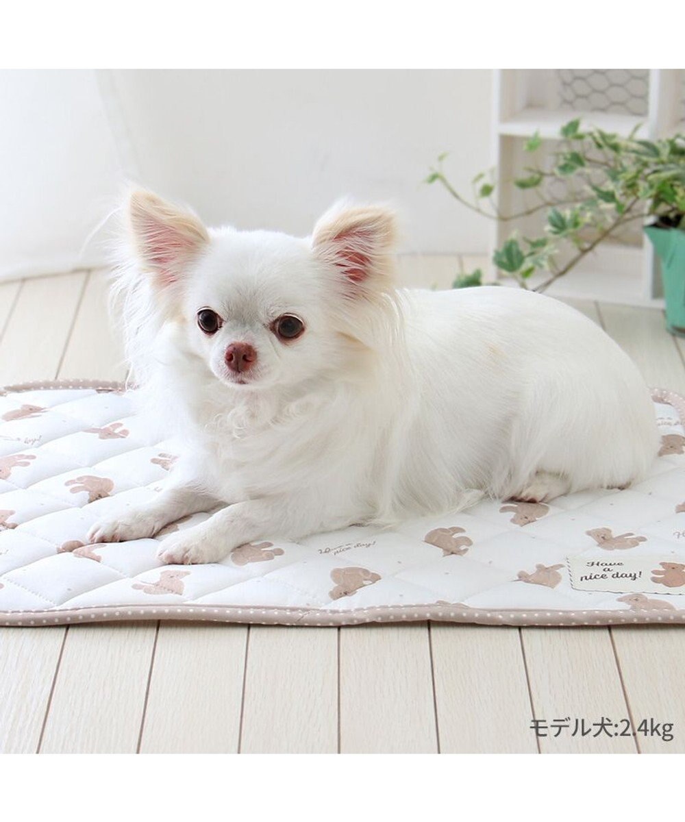 PET PARADISE ペットパラダイス   クール マット《くまちゃん 水玉》48×40㎝ 