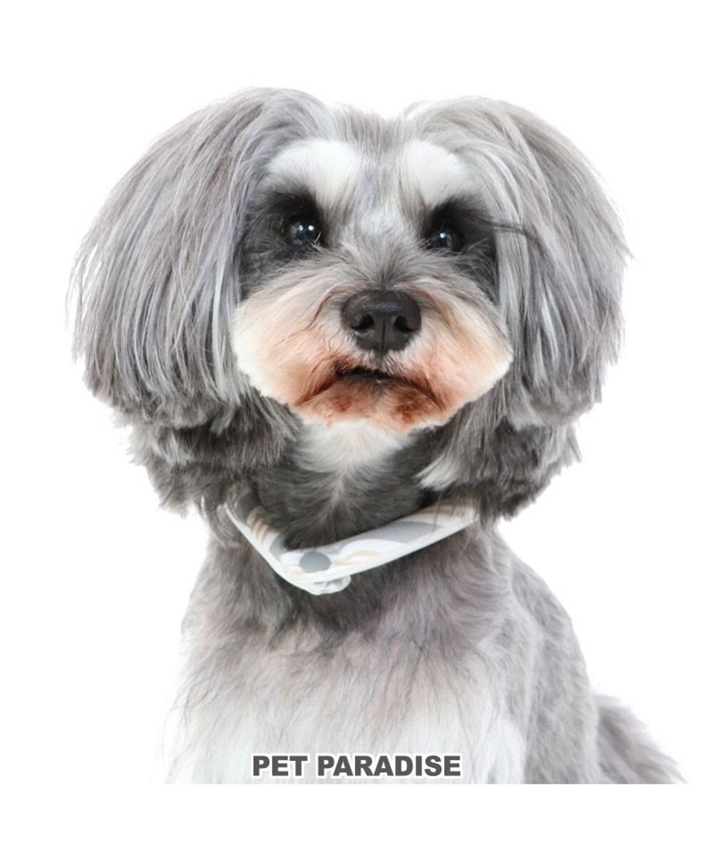 PET PARADISE クールリング 犬 クールネック ひんやり 28℃クールリング 【Ｓ】 リフレクター 水色 ベージュ  反射材付き 
