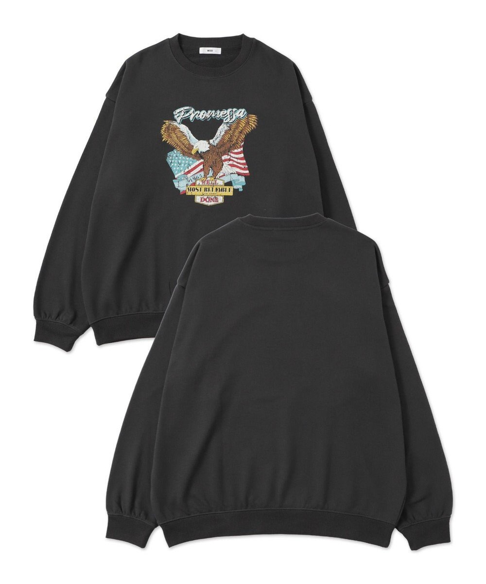 WEGO 【ユニセックス着用ITEM/XSサイズ】アソートグラフィックプルオーバー（2） 