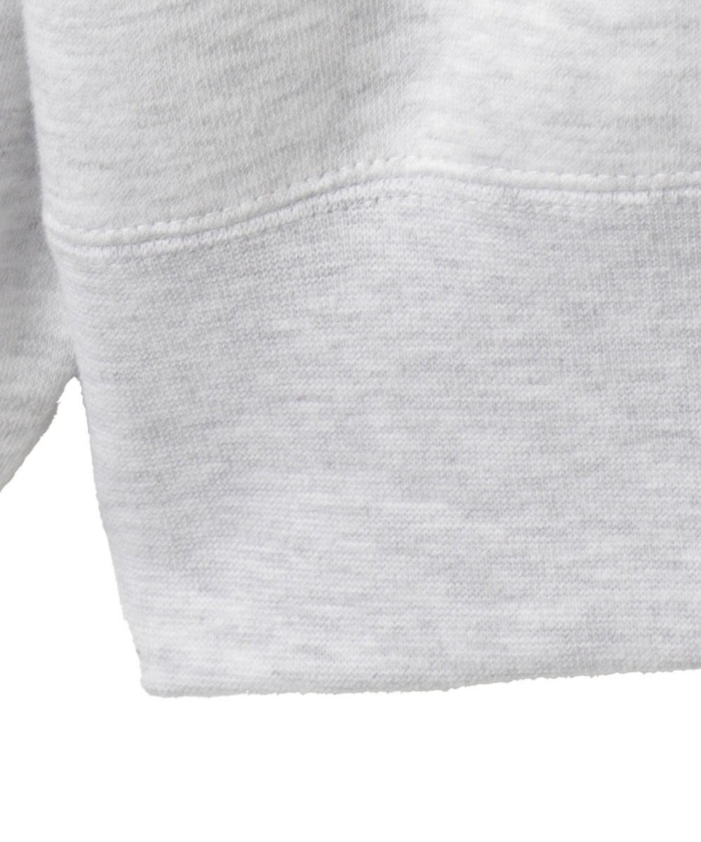 WEGO 【ユニセックス着用ITEM/MLサイズ展開/裏起毛】別注BENDAVISプランプロゴプルオーバー 