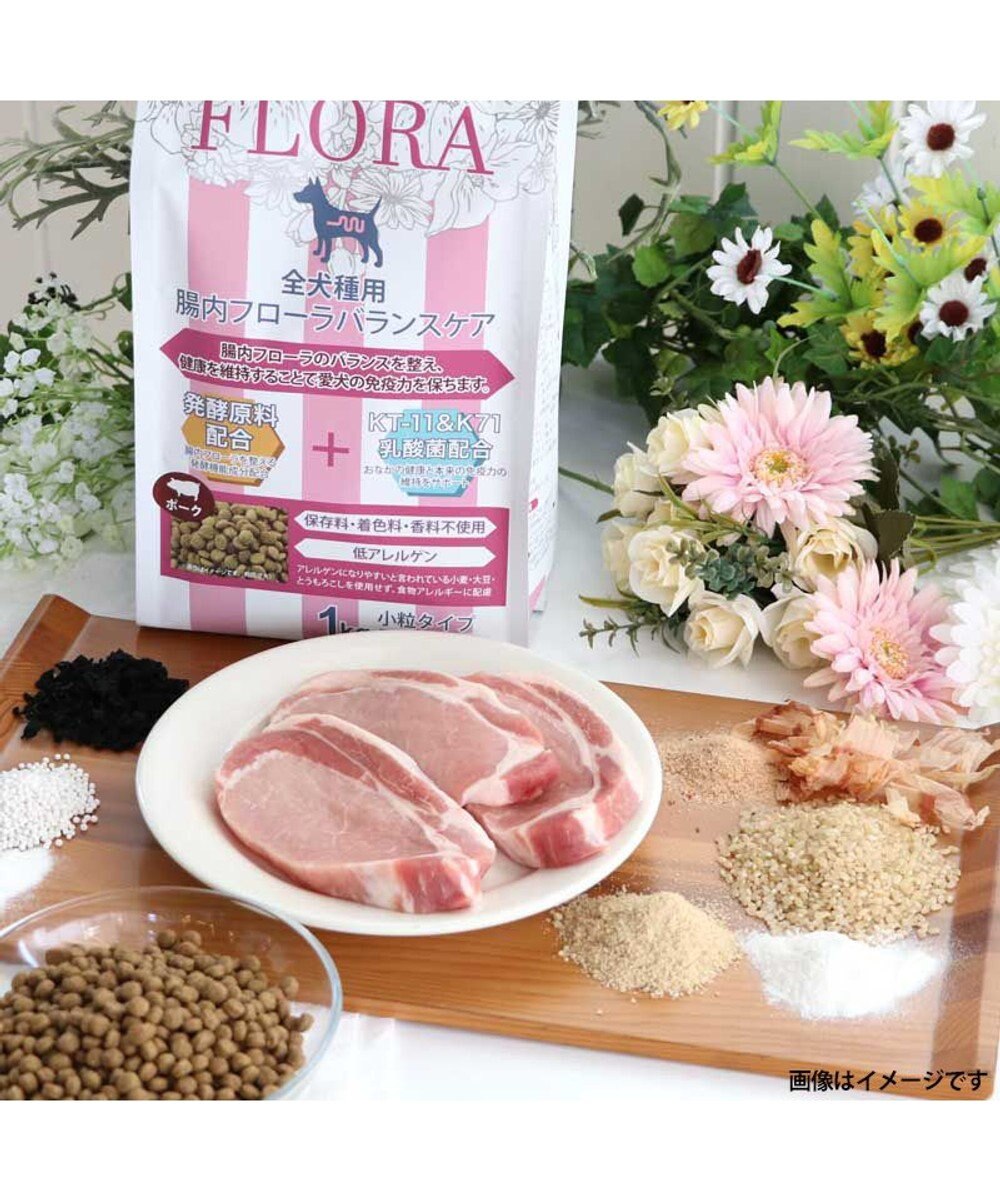 PET PARADISE ペットパラダイス  国産 ドッグフード フローラ3kg 