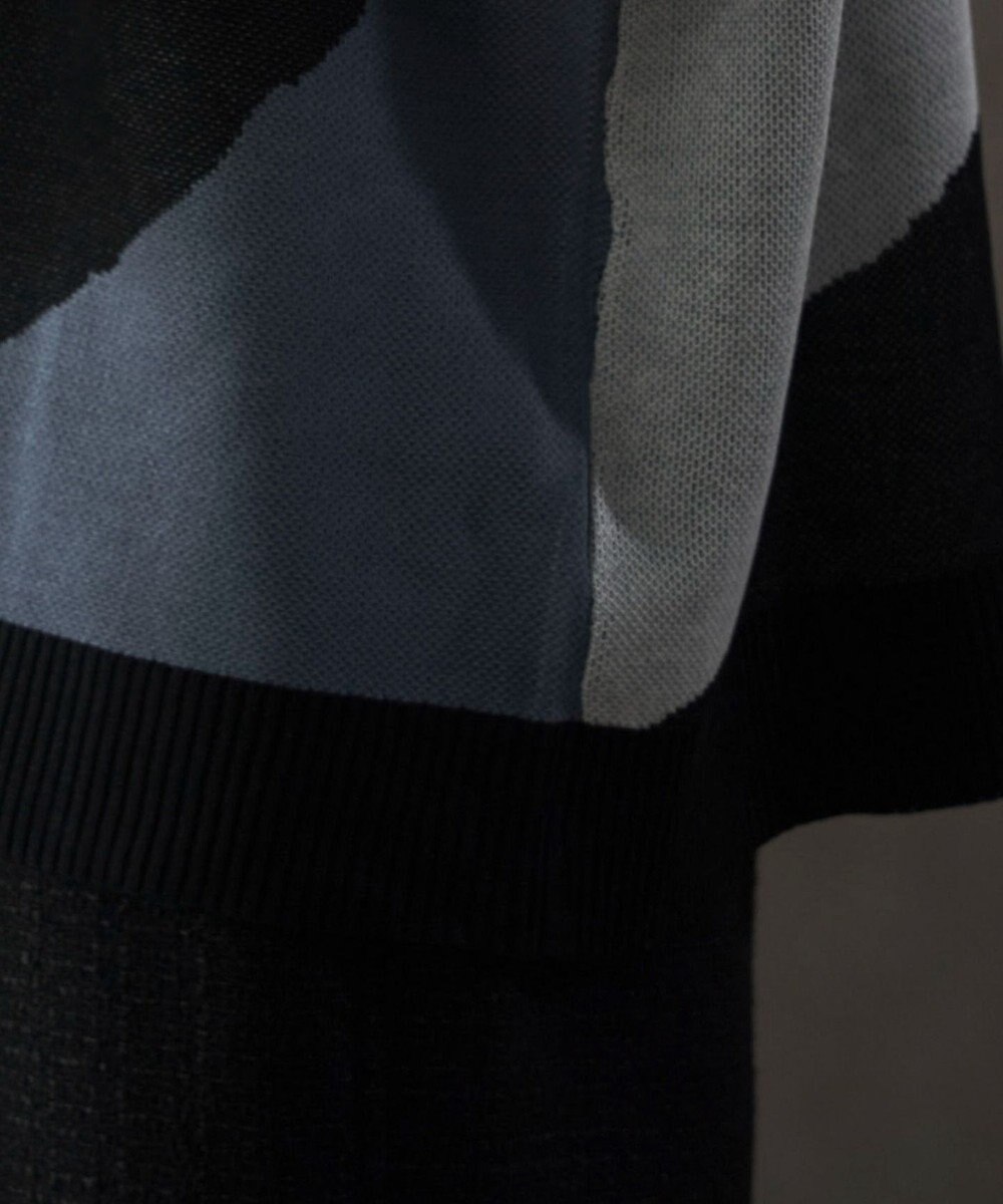 WEGO ジャガードニットT（SS） 