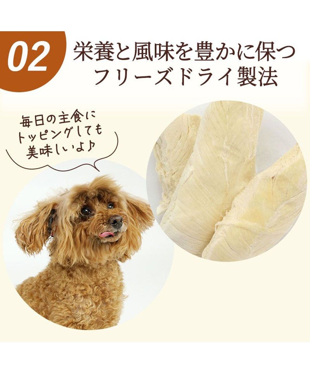 PET PARADISE 鶏ささみフリーズドライ 大袋 55g 国産 