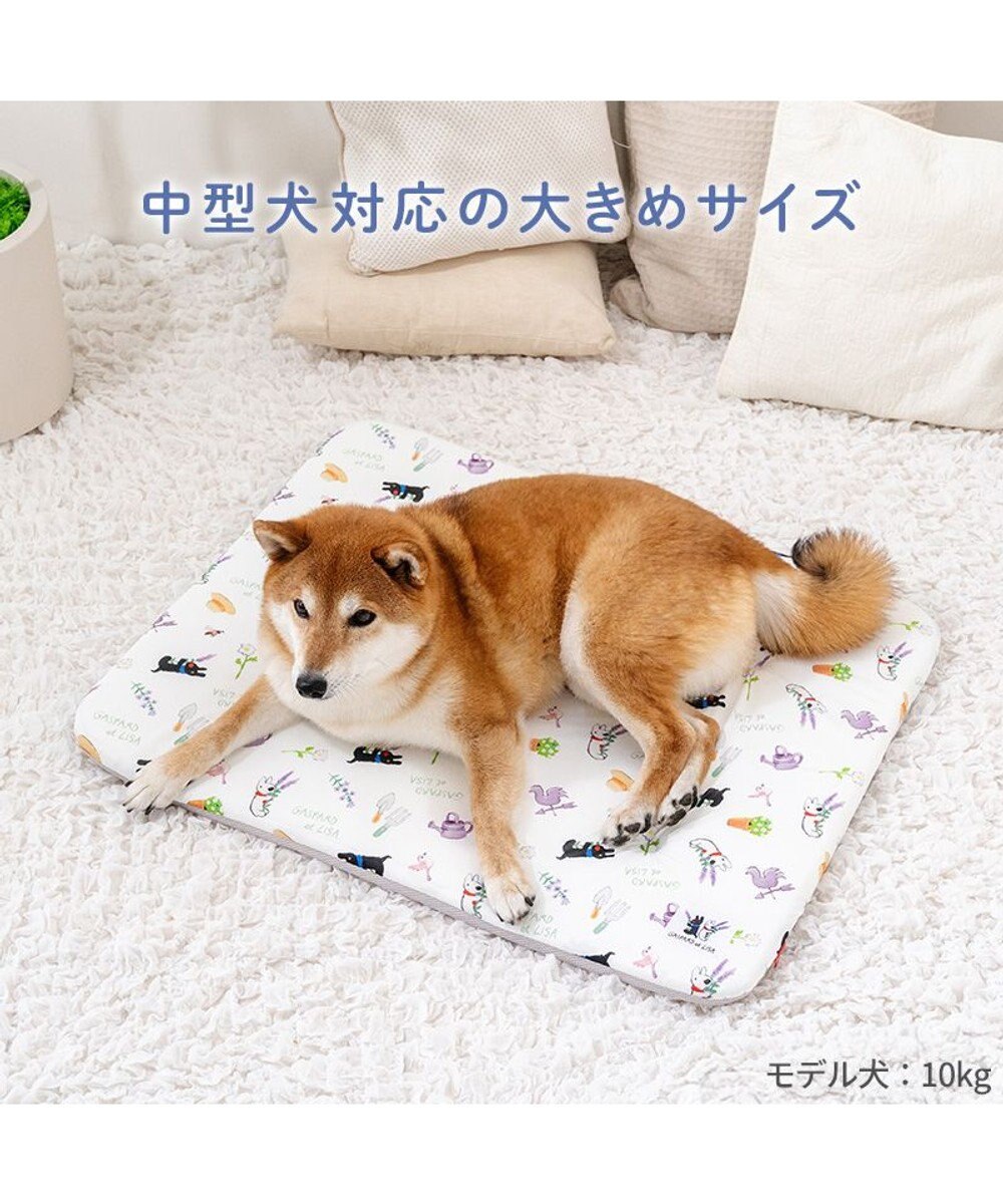 PET PARADISE リサとガスパール もちっと クールマット 