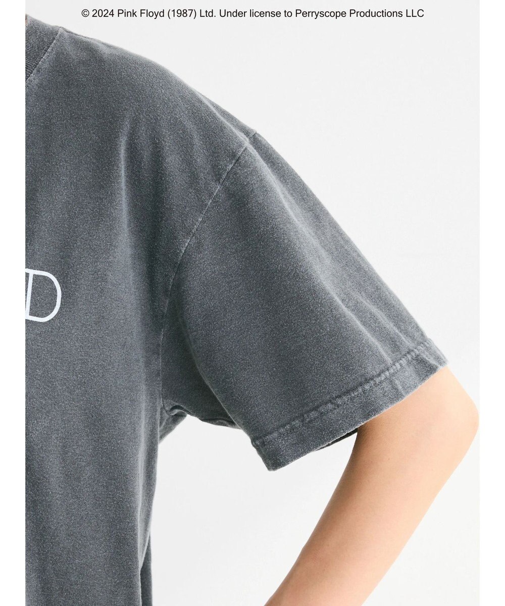 Green Parks ●ＧＯＯＤ　ＳＰＥＥＤ　ＰＩＮＫ　ＦＬＯＹＤ　Ｔ 