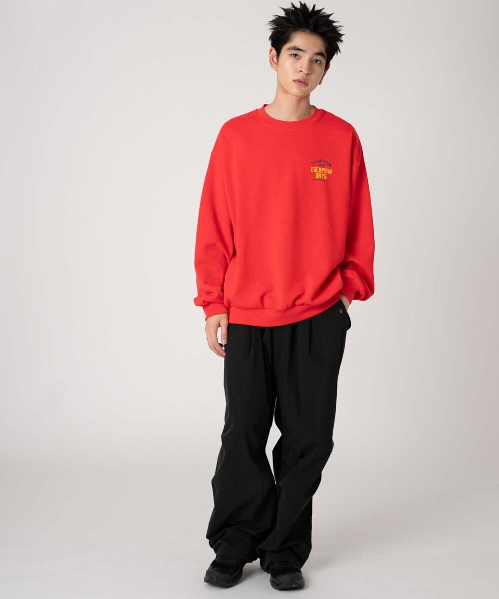 WEGO 【裏起毛/ユニセックス着用ITEM/SMLサイズ展開】アソートグラフィックプルオーバー（4） 