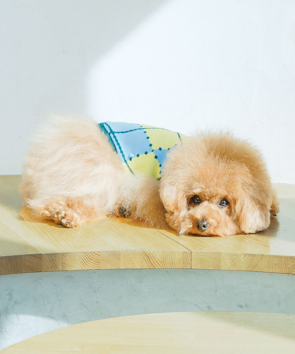 COQ VINTAGE SWEATER アーガイルドッグウェア 