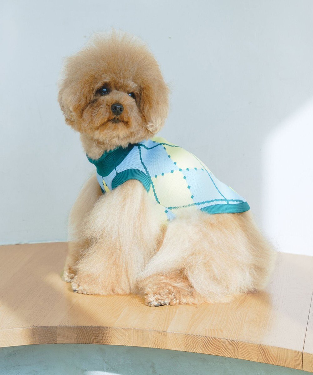 COQ VINTAGE SWEATER アーガイルドッグウェア 