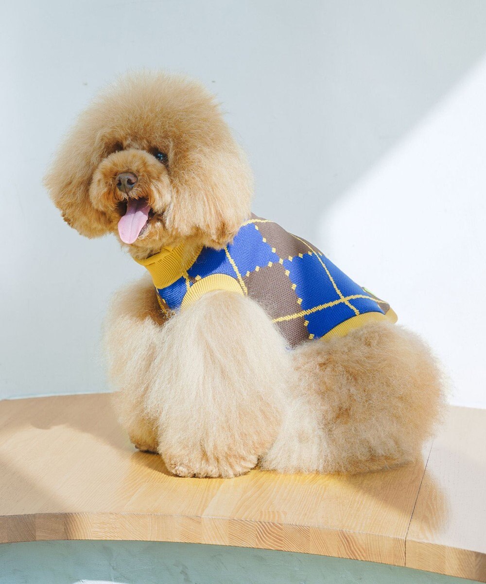 COQ VINTAGE SWEATER アーガイルドッグウェア 