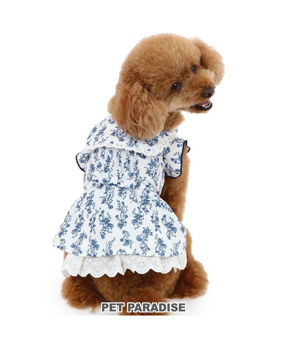 PET PARADISE ペットパラダイス 涼やか ワンピース 小型犬 ブルー
