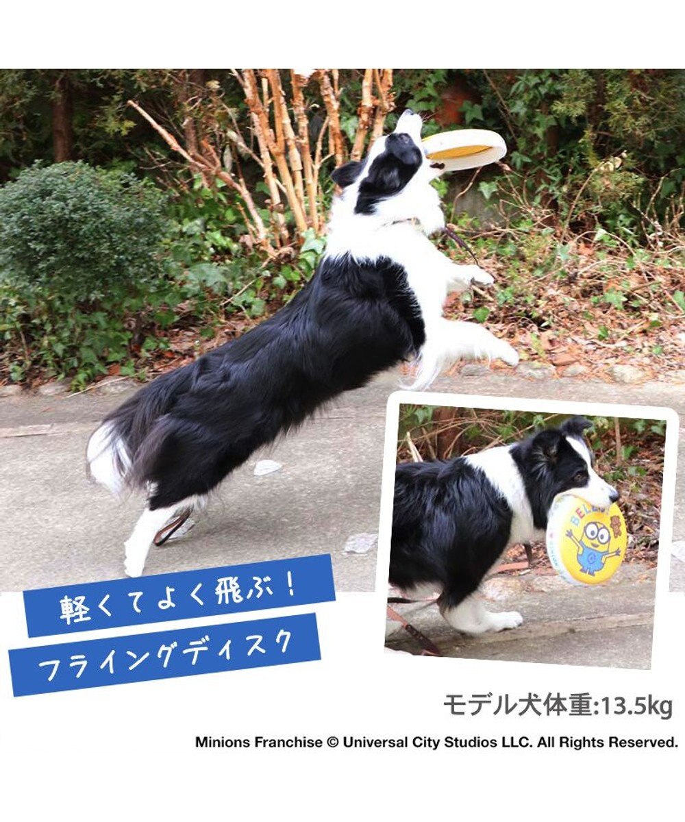 PET PARADISE 犬 おもちゃ ミニオン フライングディスク M (直径22cm) 
