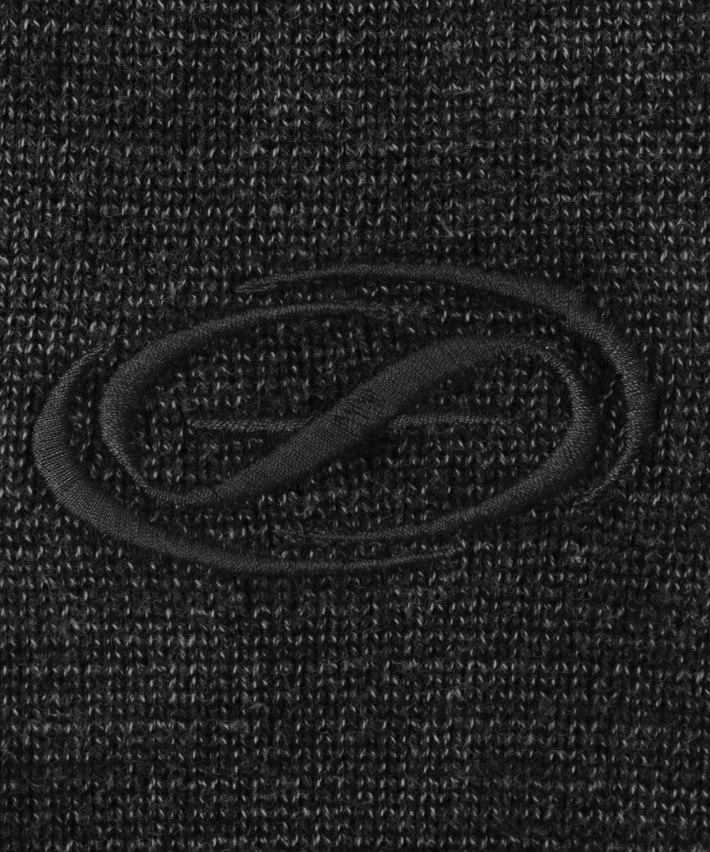 WEGO 【ユニセックス着用ITEM】ピグメントロゴニットプルオーバー 