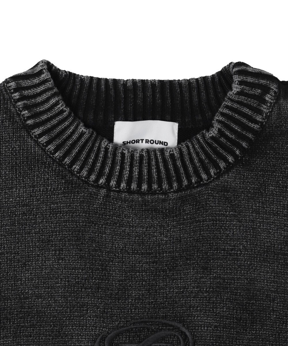 WEGO 【ユニセックス着用ITEM】ピグメントロゴニットプルオーバー 