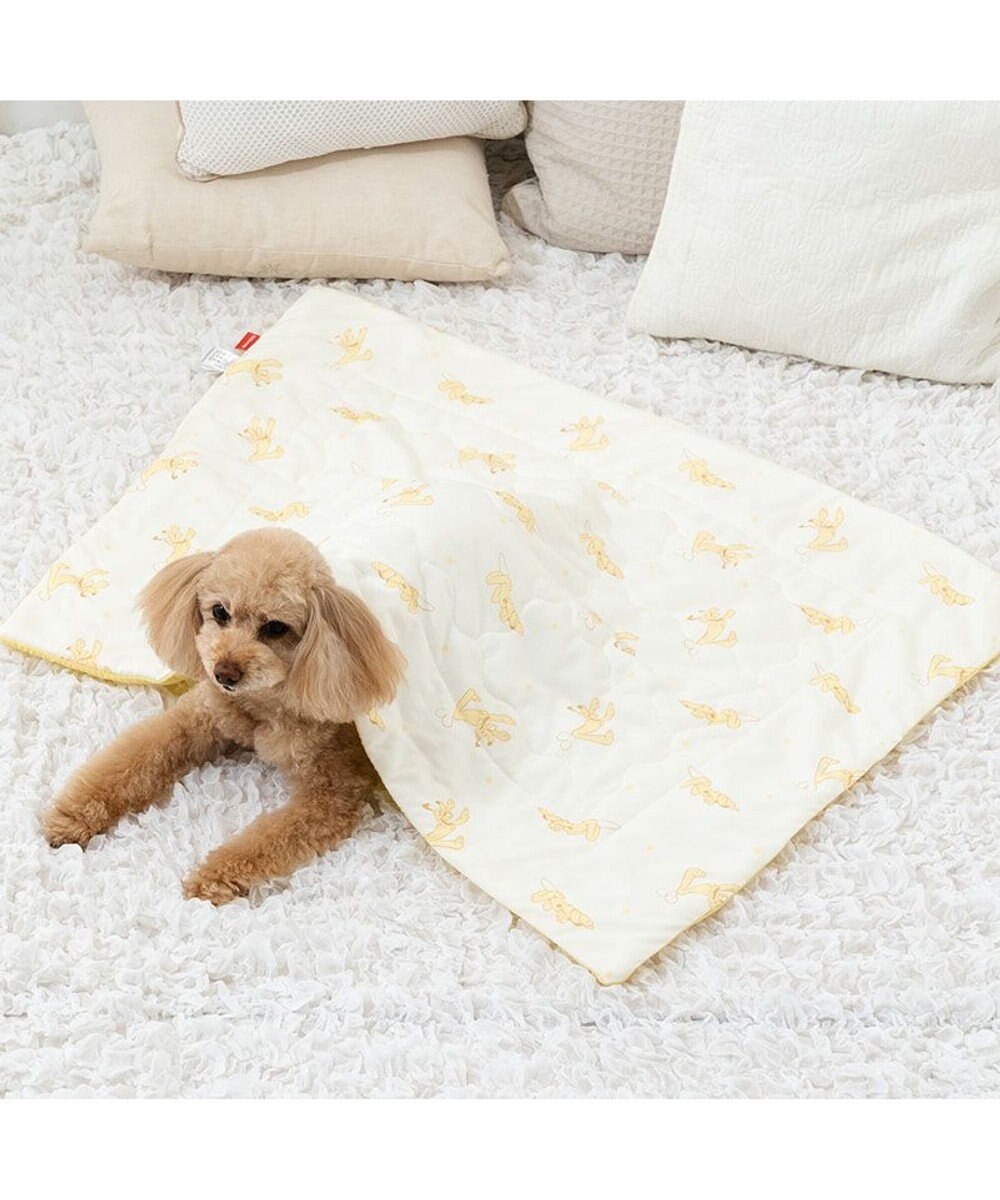 PET PARADISE ディズニー プルート もちっと クール ブランケット 