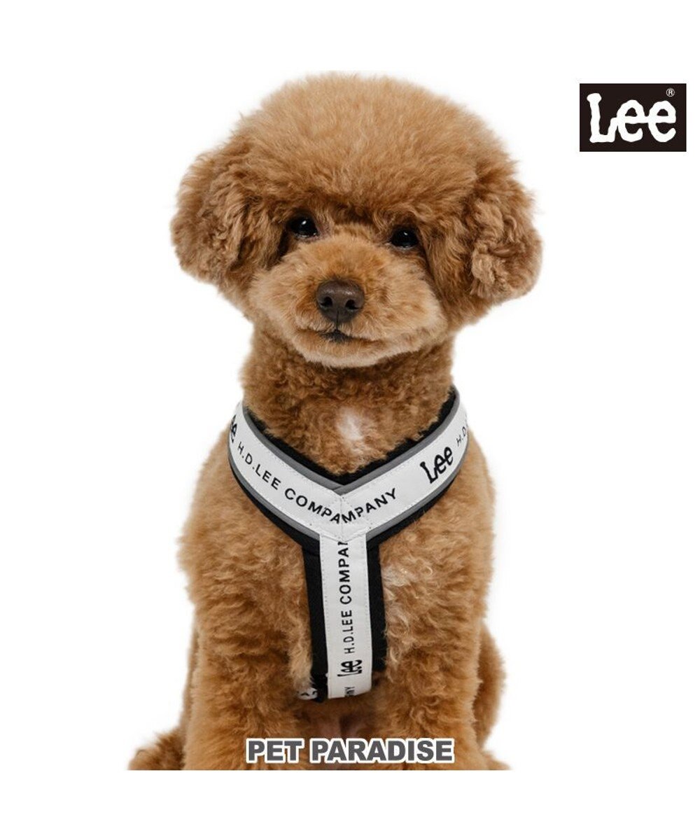 PET PARADISE Lee ロゴ アクティブ ハーネス ３Ｓ 小型犬 