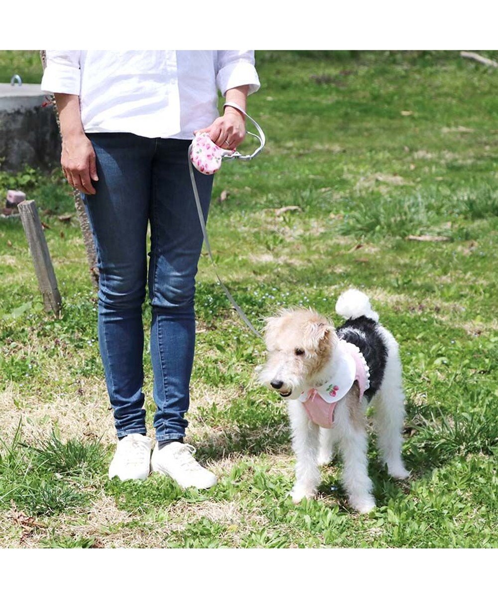 PET PARADISE ペットパラダイス 伸縮リード 《いちご柄 / ロゴ柄 》【小型犬】軽量 ロック式 
