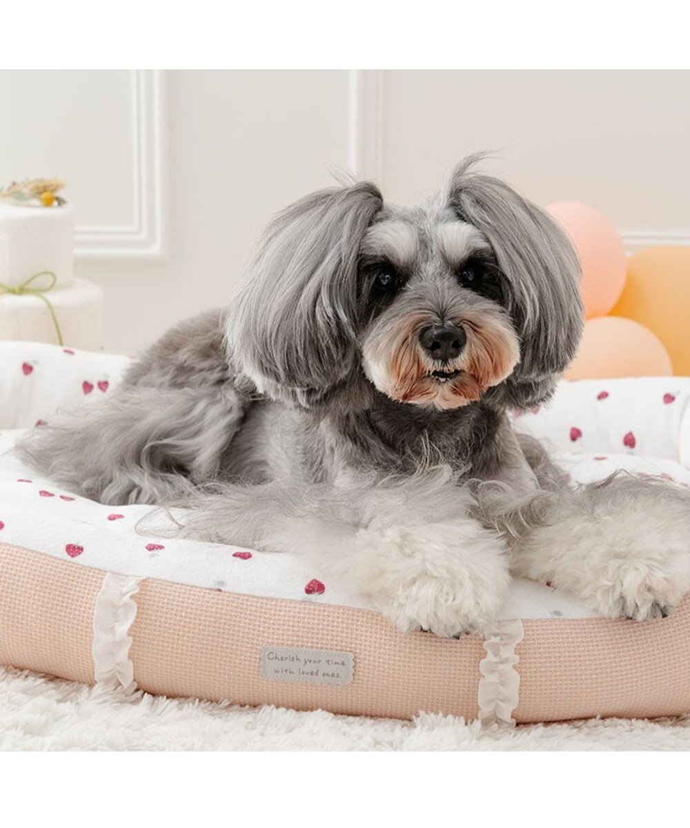 PET PARADISE ペットパラダイス いちご フリルカドラー  Ｌ 57×45cm 