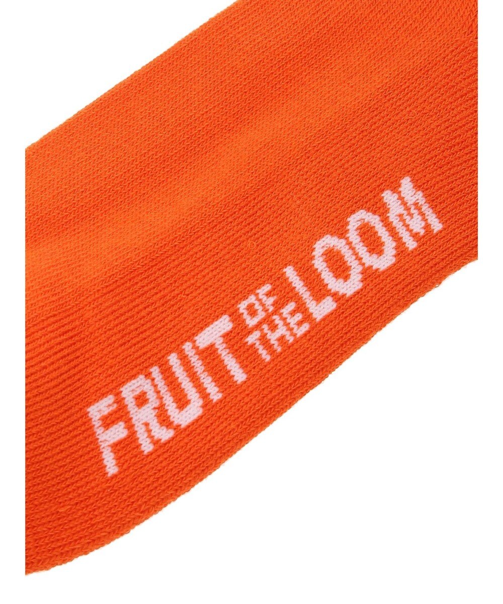 Green Parks ■ＦＲＵＩＴ　ＯＦ　ＴＨＥ　ＬＯＯＭ　刺繍３ＰソックスＡ 