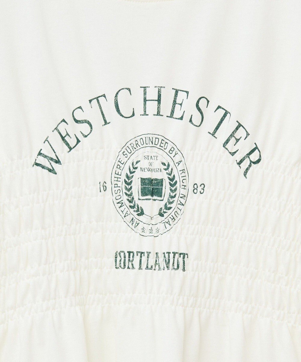 AMERICAN HOLIC カレッジプリントシャーリングプルオーバー 