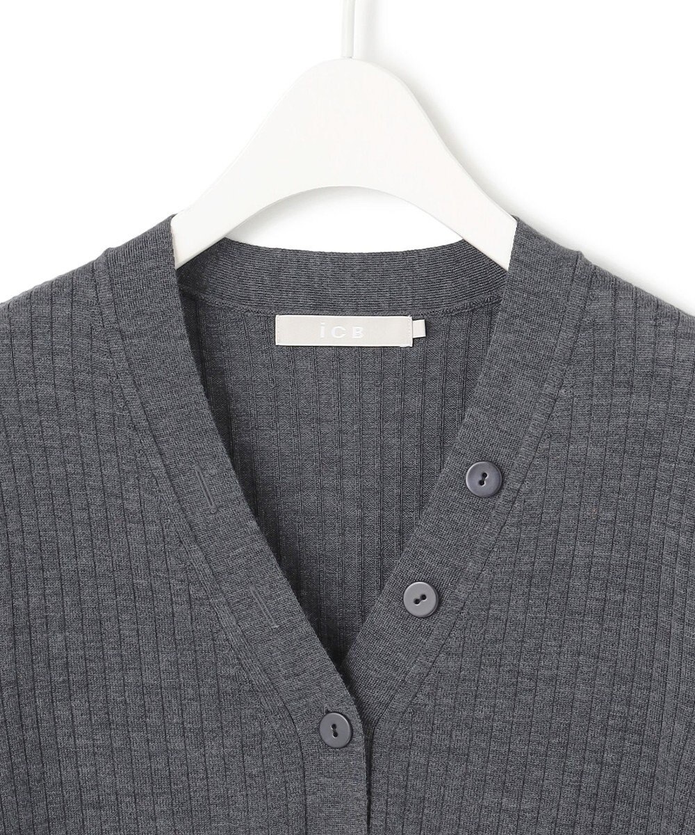 ICB 【洗える】エクストラファインメリノリブ ヘンリーネック プルオーバー 