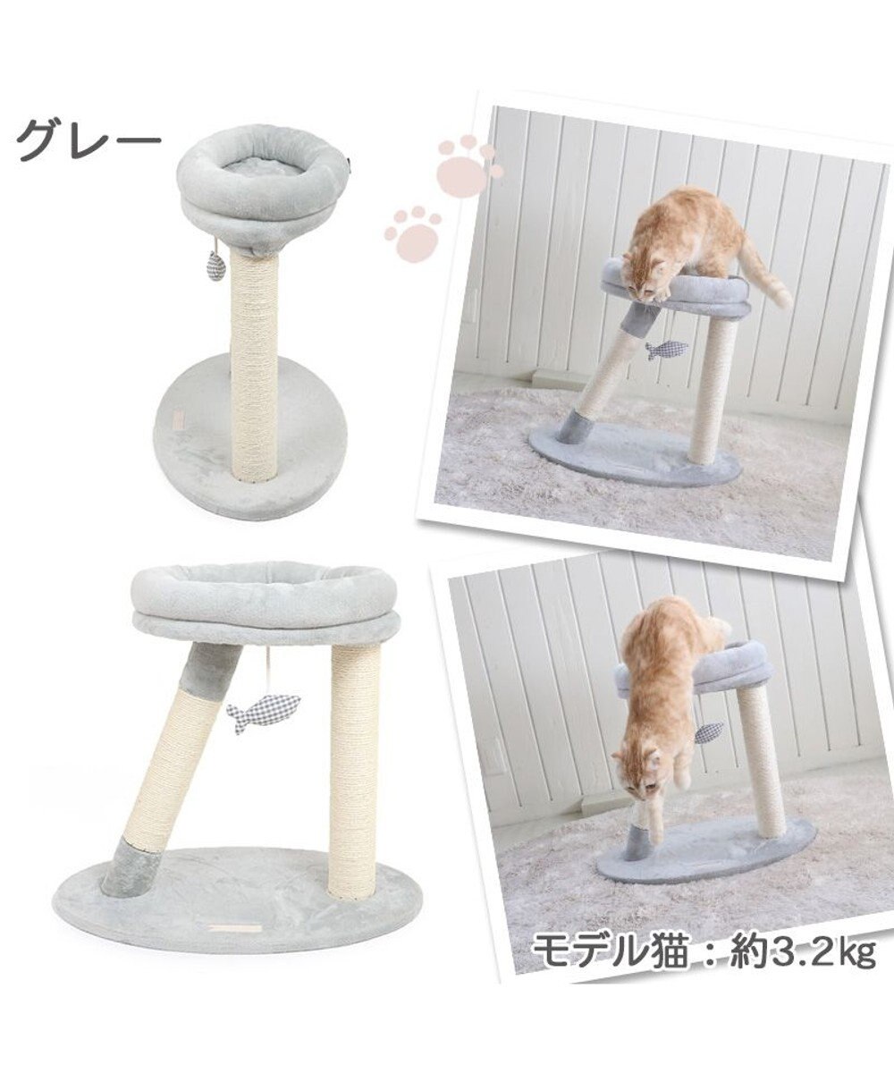 PET PARADISE 猫 キャットタワー 55cm スリム 