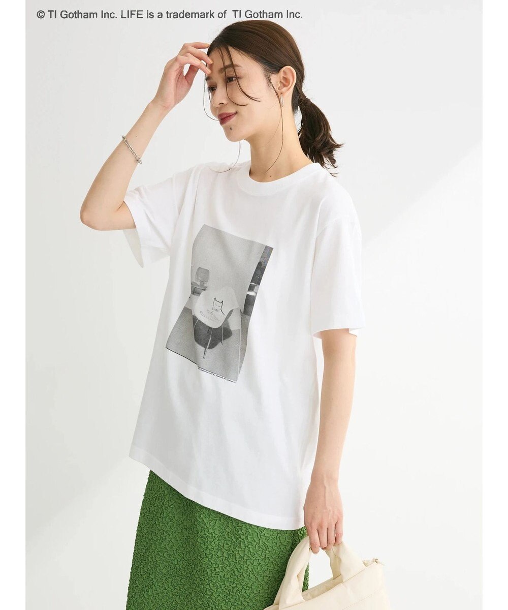 Green Parks ＬＩＦＥ　猫フォトＴシャツ 