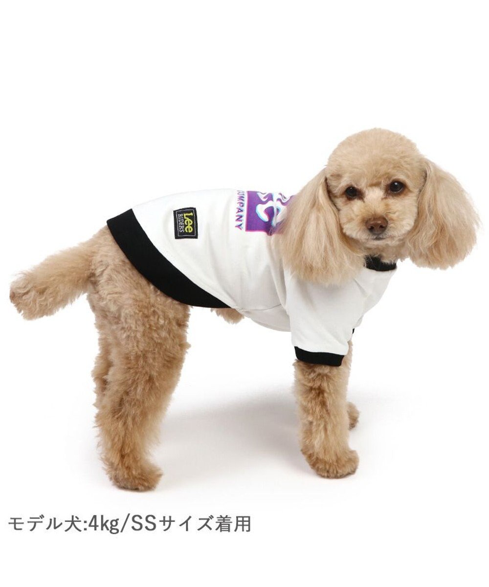 Lee 四角 ロゴトレーナー 小型犬 / PET PARADISE | ファッション通販