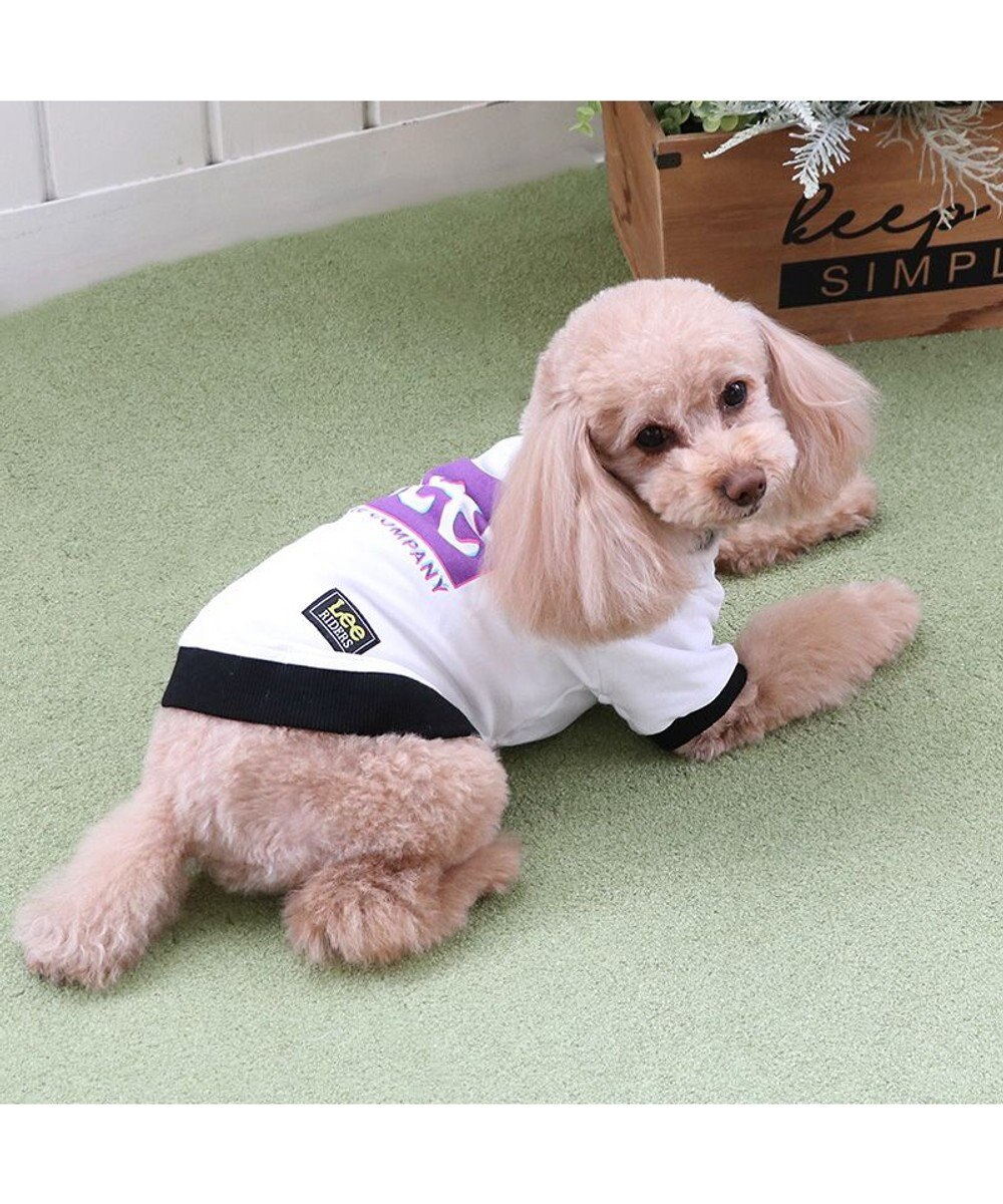 PET PARADISE Lee 四角 ロゴトレーナー 小型犬 