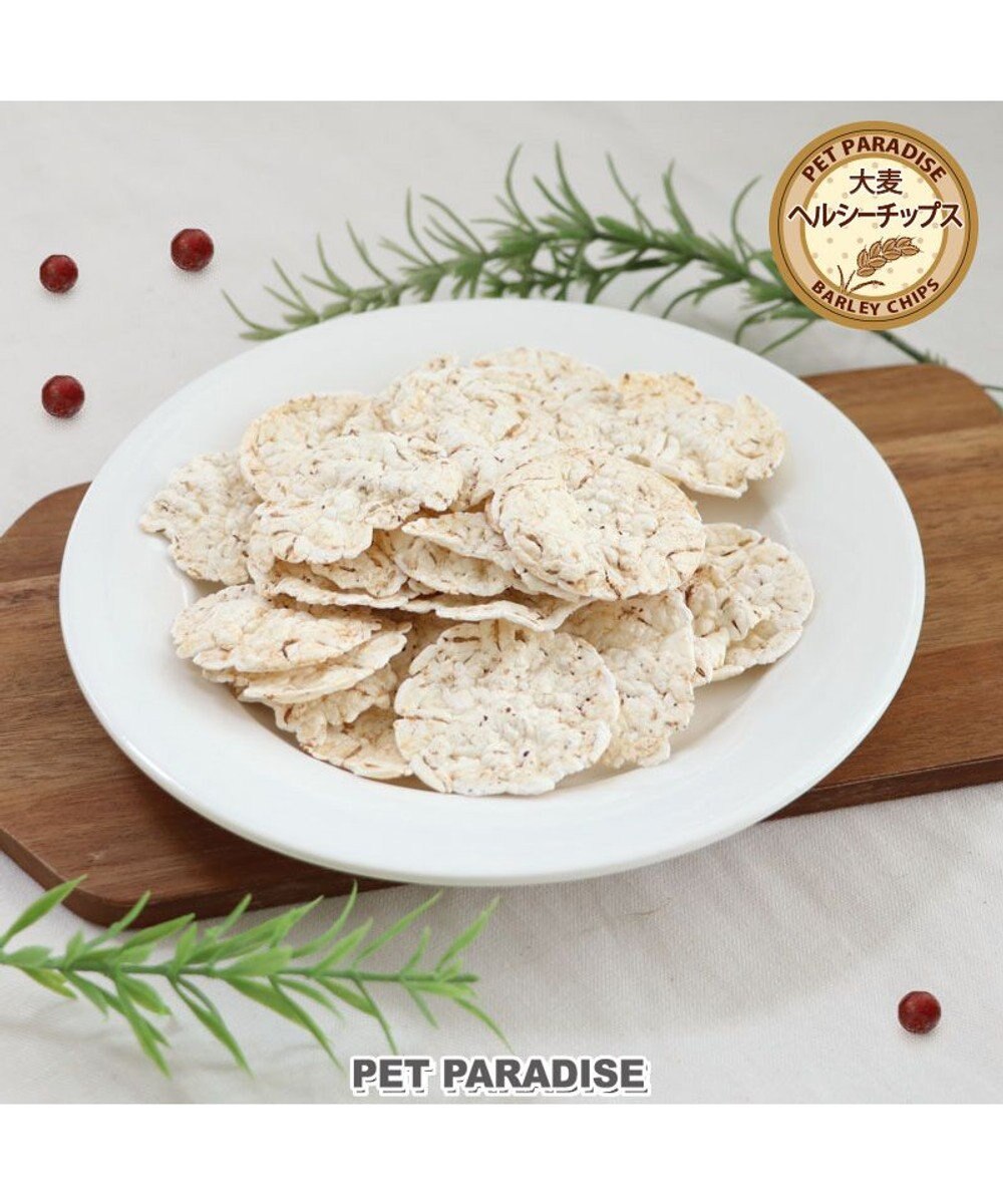 PET PARADISE  大麦 ヘルシー チップス 30g 