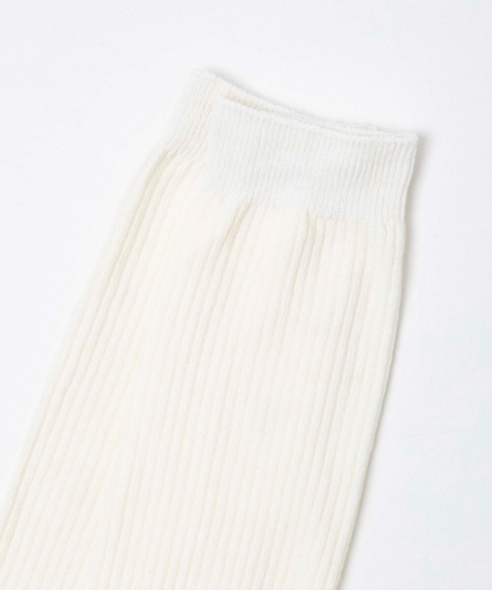 WEGO 細リブハイソックス 