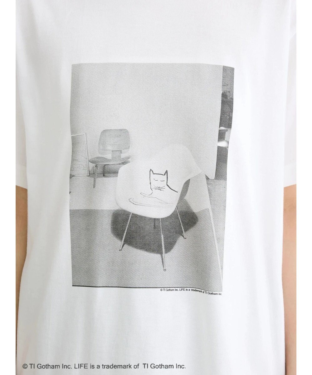 Green Parks ＬＩＦＥ　猫フォトＴシャツ 