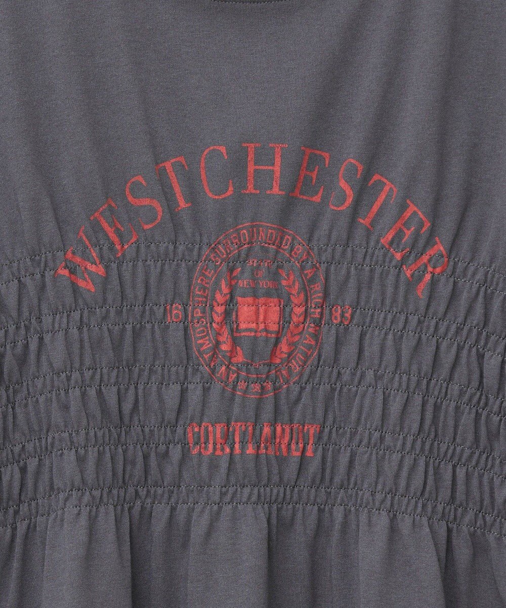 AMERICAN HOLIC カレッジプリントシャーリングプルオーバー 