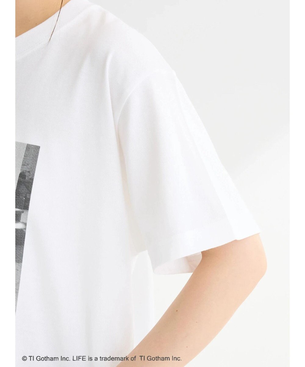 Green Parks ＬＩＦＥ　猫フォトＴシャツ 