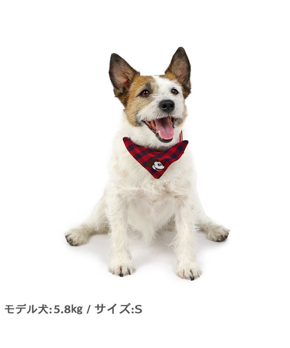 PET PARADISE ディズニー ミッキーマウス プルート  散歩柄首輪【３Ｓ】 小型犬 