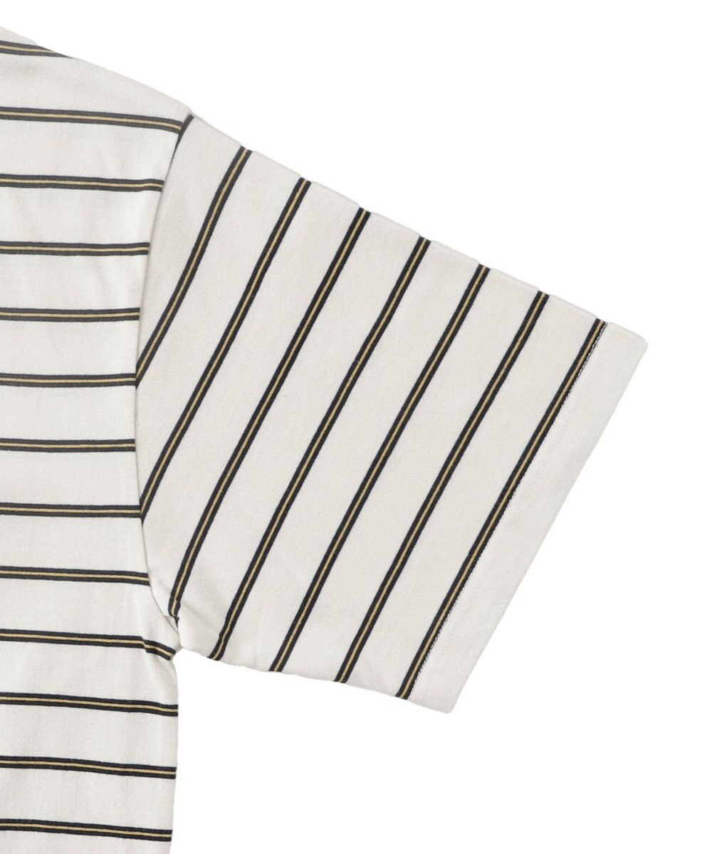 WEGO ワンポイントボーダーT 