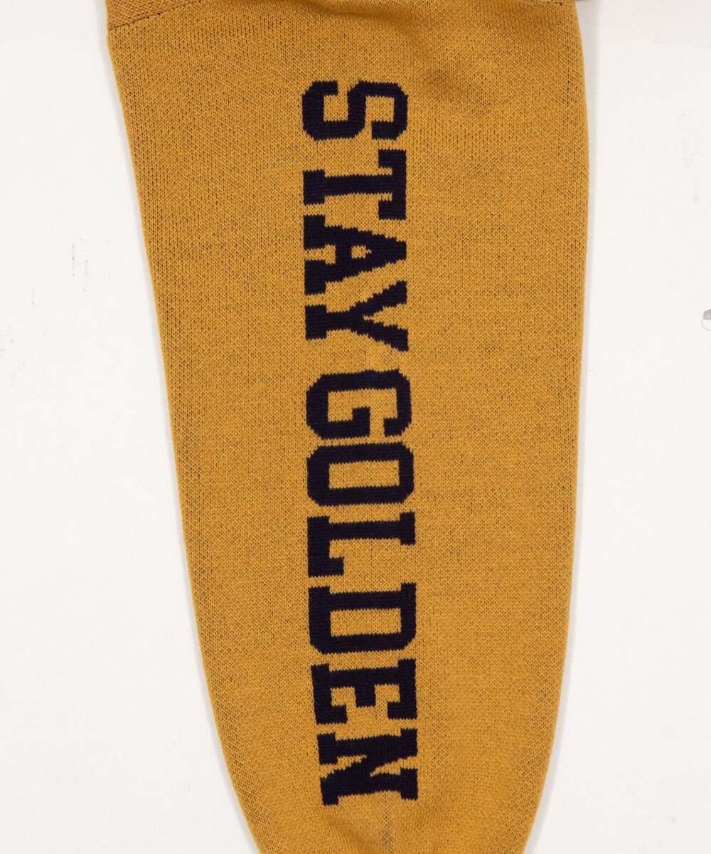 WEGO スリーブロゴニットプルオーバー 