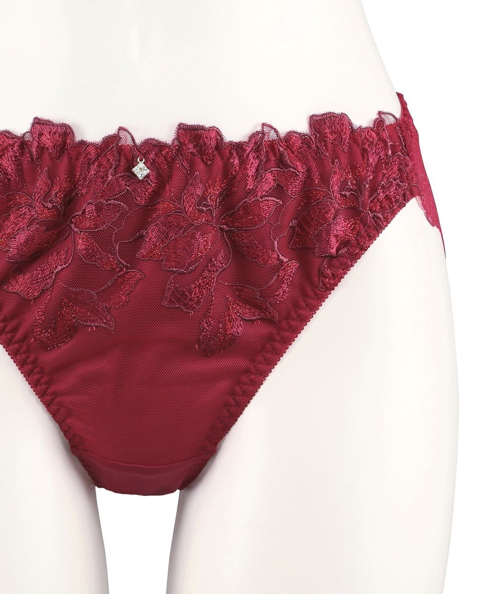 San-ai Resort（三愛水着楽園） エレガントコレクション【2411】ノーマルショーツLL 【northerly】 