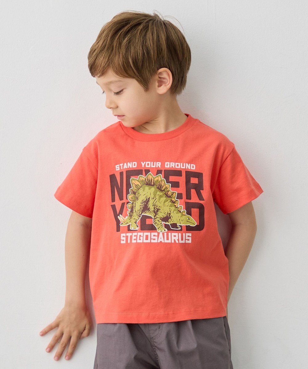 ANY KIDS 【洗濯機可能】恐竜プリント 半袖Tシャツ 