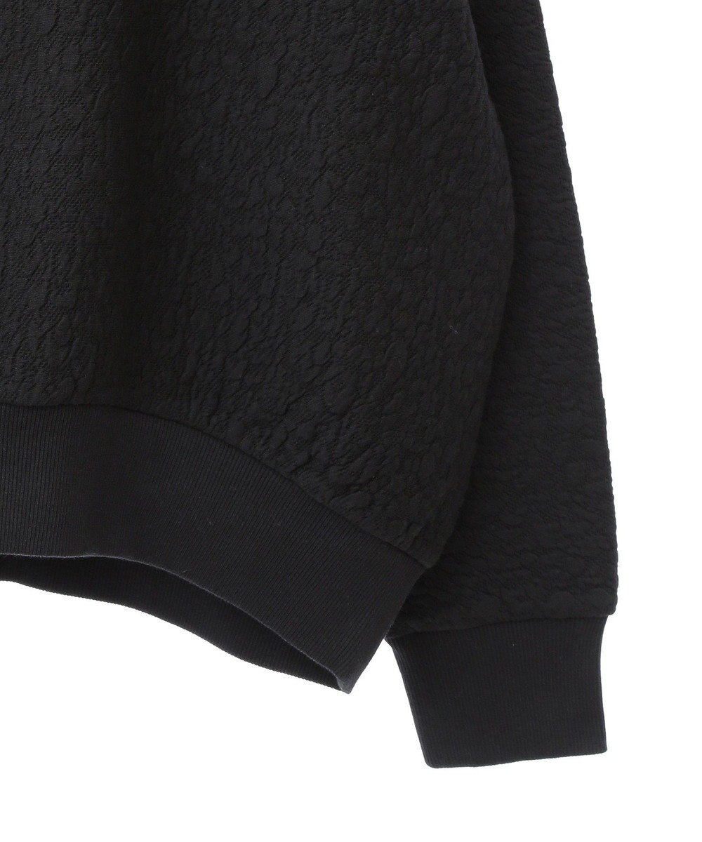 AMERICAN HOLIC フクレジャガードプルオーバー 