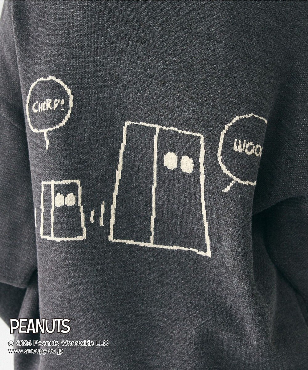 CRAFT STANDARD BOUTIQUE 【PEANUTS】クルーネックニット 