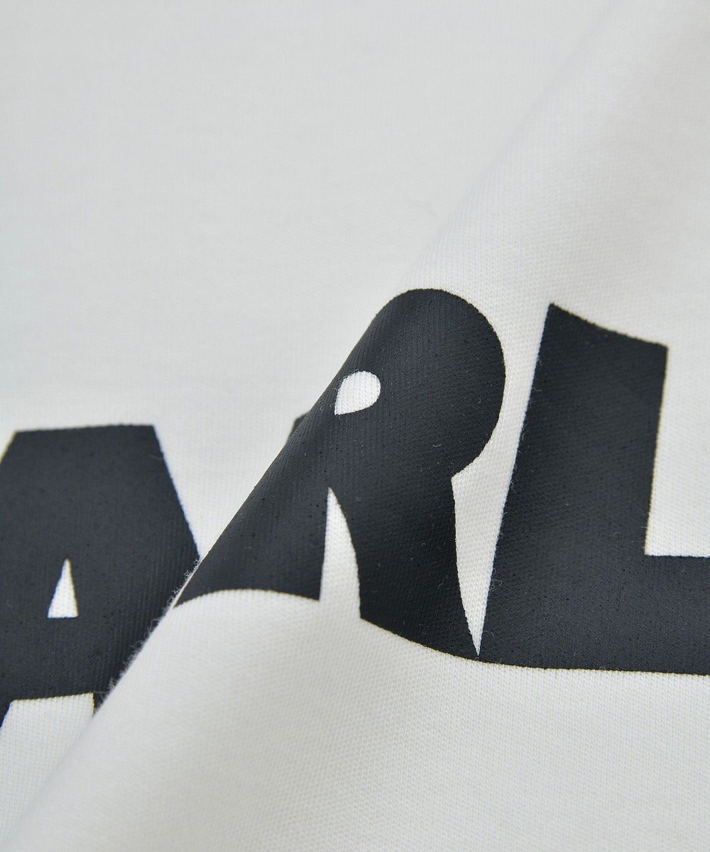 AMERICAN HOLIC アソートロゴロンＴ 