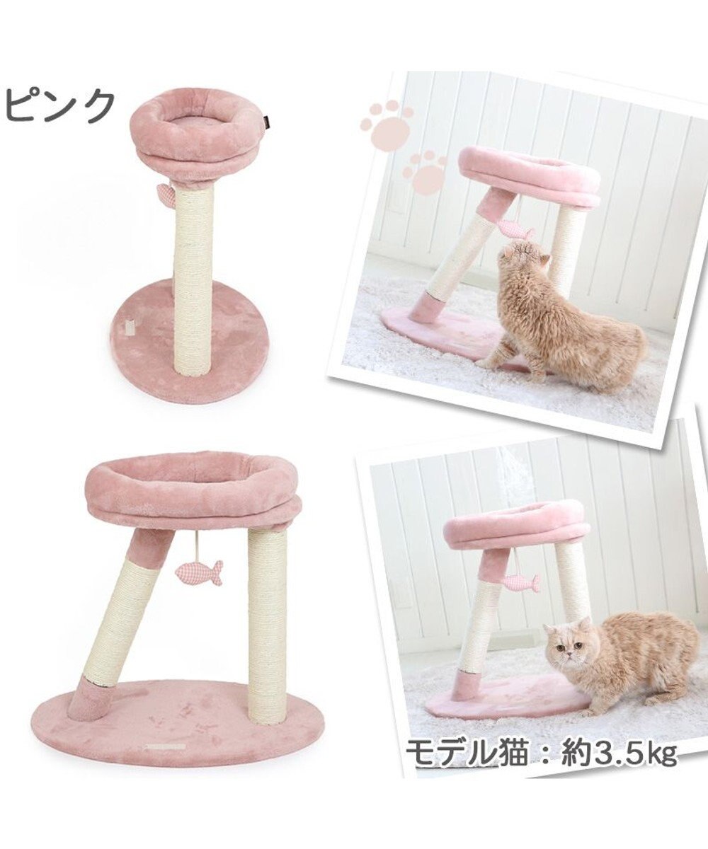 PET PARADISE 猫 キャットタワー 55cm スリム 