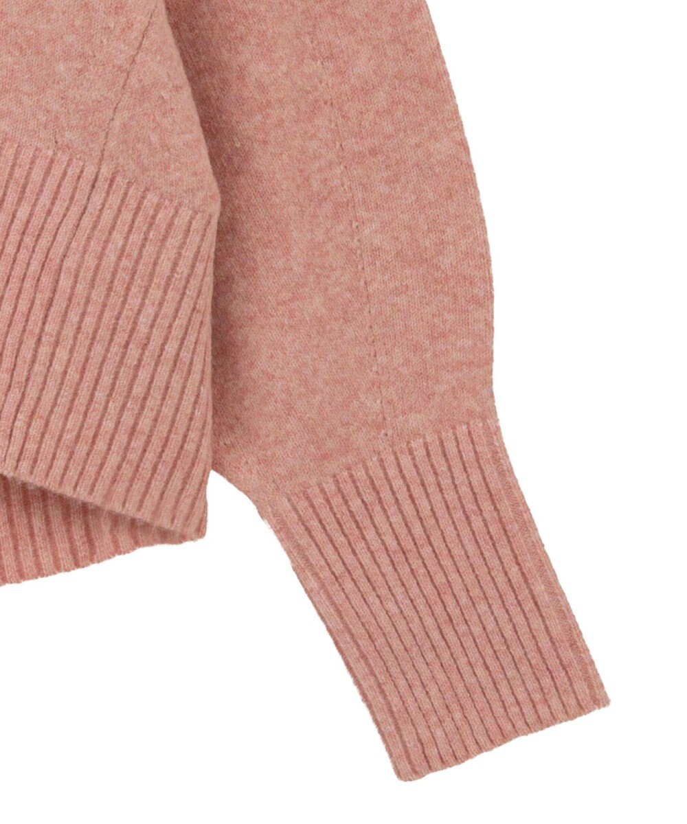 AMERICAN HOLIC ワイドリブVネックプルオーバー 