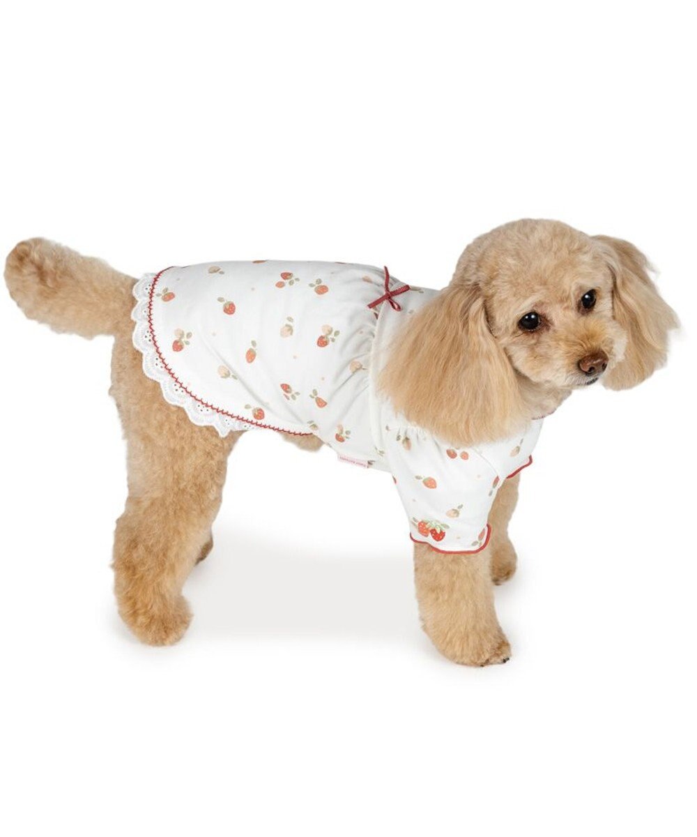 PET PARADISE ペットパラダイス ペティヒート天竺 Tシャツ 《いちご》 超小型犬 小型犬 