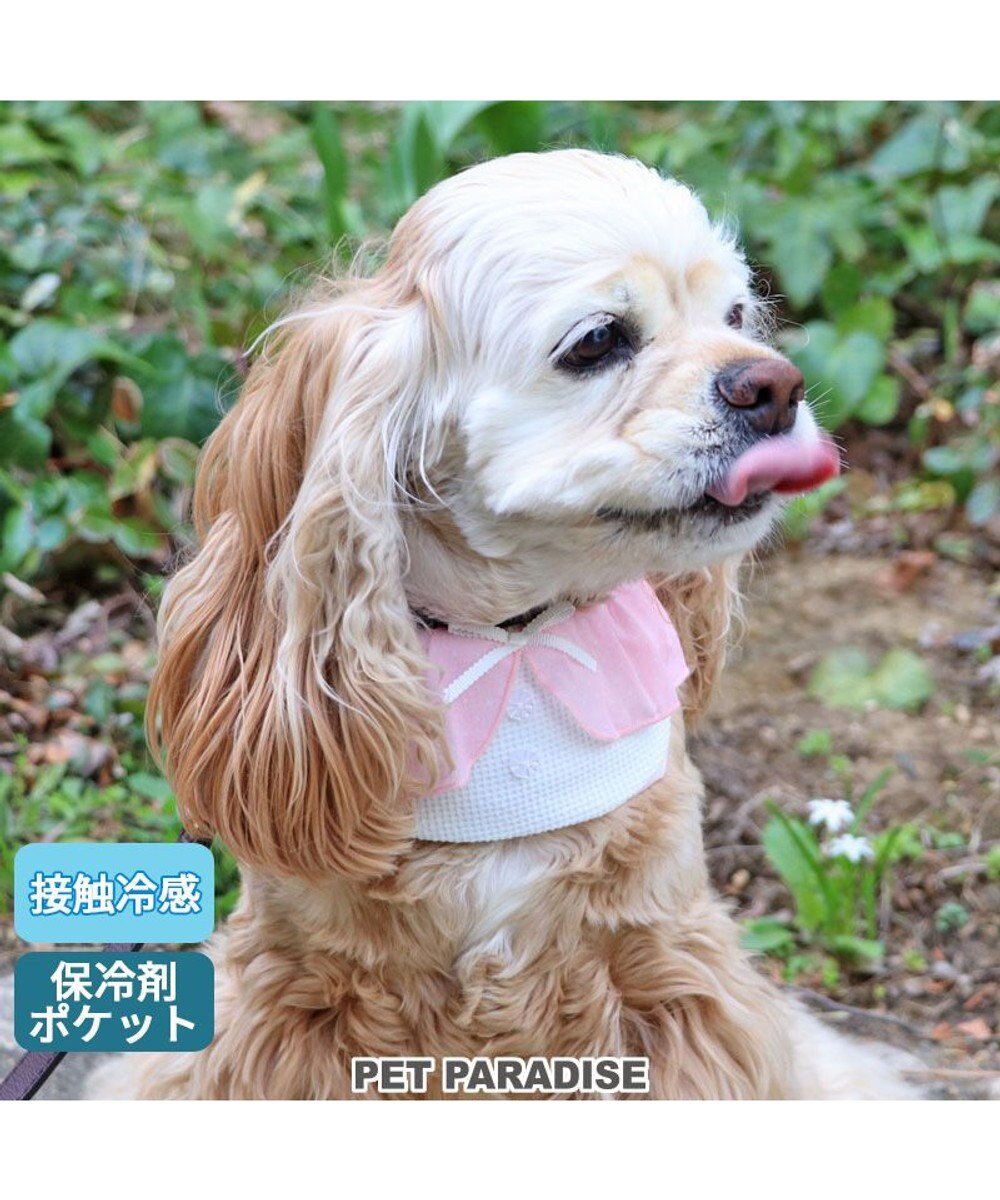 PET PARADISE クールネック バンダナ《 ボタニカル/ しろくま/シフォン襟》 保冷剤付き 【中型犬】【大型犬】 