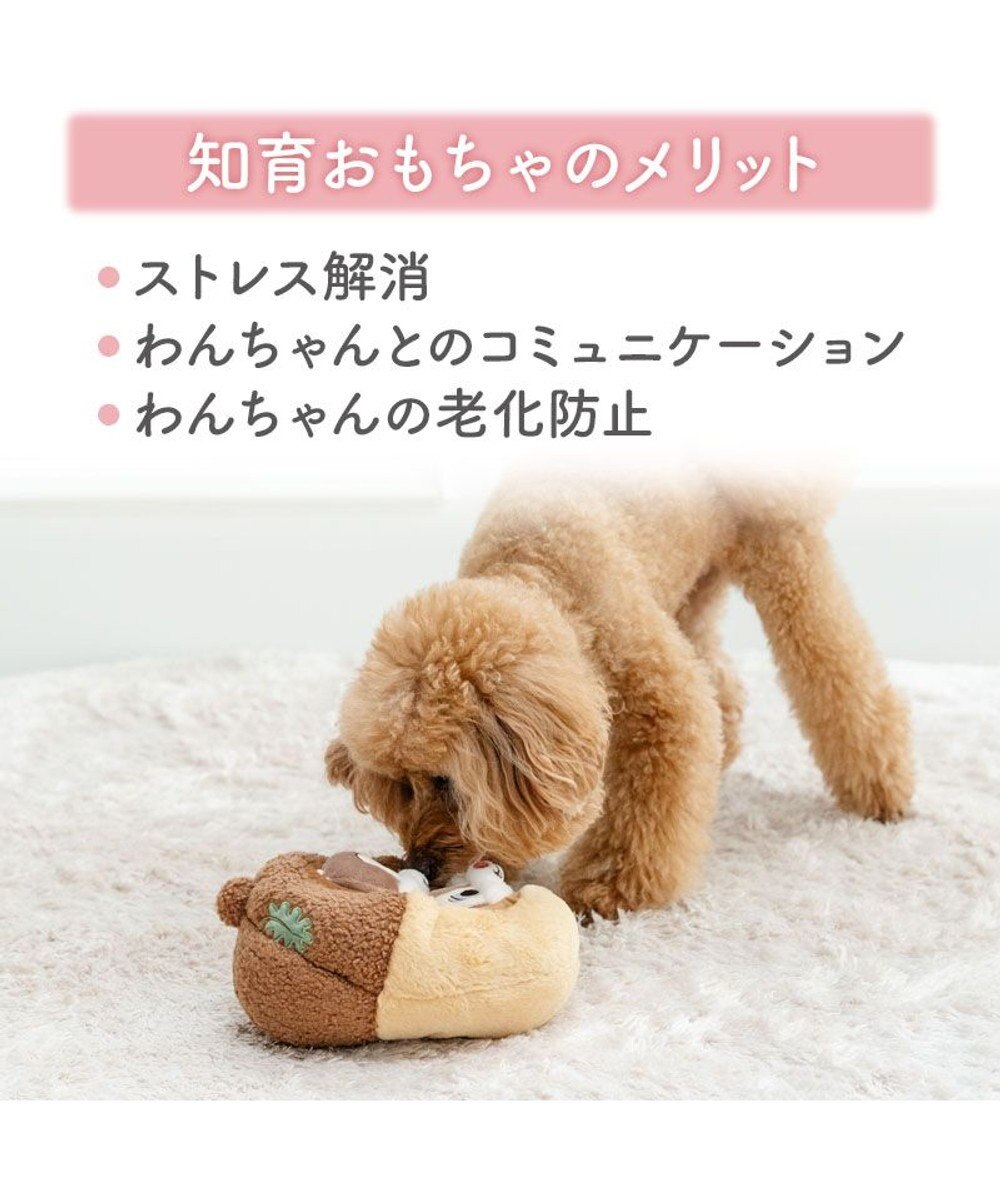 PET PARADISE ディズニー チップとデール どんぐり ボール トイ 