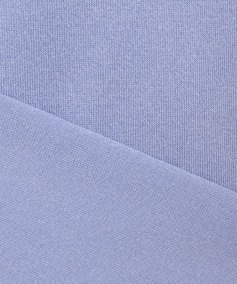 J.PRESS LADIES L 【WEB限定カラーあり・洗える】Vis/Peスパーク バンドカラー ニット 